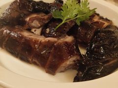 -佬肥猫(国华广场店)