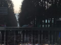 -山王坪喀斯特国家生态公园
