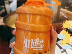 夏日橙桶桶雙料泰奶-milkplus·泰式奶茶(较场东路店)