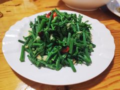 炒丝瓜尖-翕庐小苑