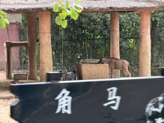 -杭州野生动物世界