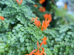 -西西弗书店&矢量咖啡(凯德晶萃广场店)