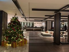 -新加坡乌节希尔顿酒店 (SG Clean)