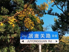 -八大关景区