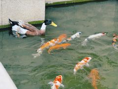 -祝家花園(伯渎港店)