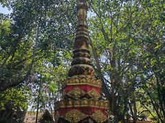 -瑞丽独树成林风景区