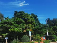 -长春市南湖公园