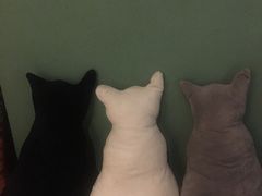 -ZooYoo佐佑咖啡(鼓楼店)