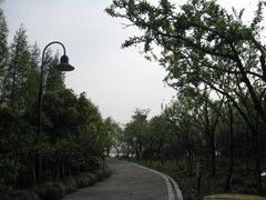 -金鸡湖桃花岛