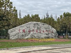 -上海海湾国家森林公园