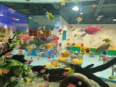 -顺德南宏海立方海洋公园