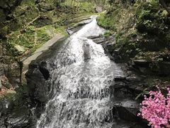 -藏龙百瀑风景区