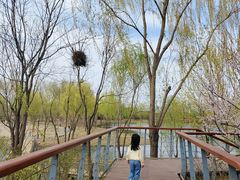 -东郊湿地公园