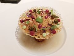 -态芮
