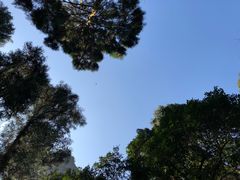 -雁荡山风景名胜区-小龙湫