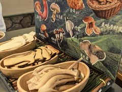 -季季山·云南野生菌火锅(上海首店)