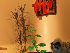-漫笙舍Manse·咖啡·民宿