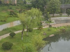 -洋湖国家湿地公园