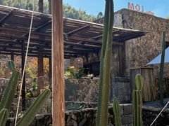 -MOJ coffee(瓯海泽雅水碓坑店)