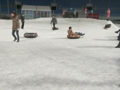 -沈阳奥体冰雪嘉年华