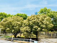 -南京明基医院