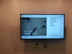点击看大图 -塑青春&伊肤泉祛痘皮肤管理