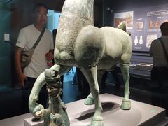 -广西壮族自治区博物馆