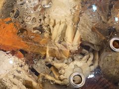 -四海蒸鲜蒸汽海鲜自助(北戴河店)