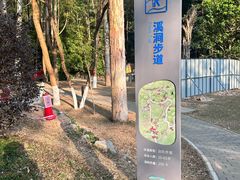 -火炉山森林公园