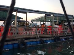 -海上驿站渔家菜馆