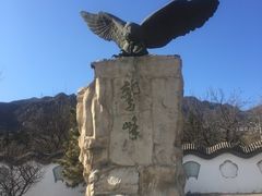 -北京鹫峰国家森林公园
