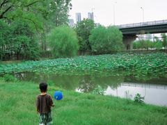 -汉水公园