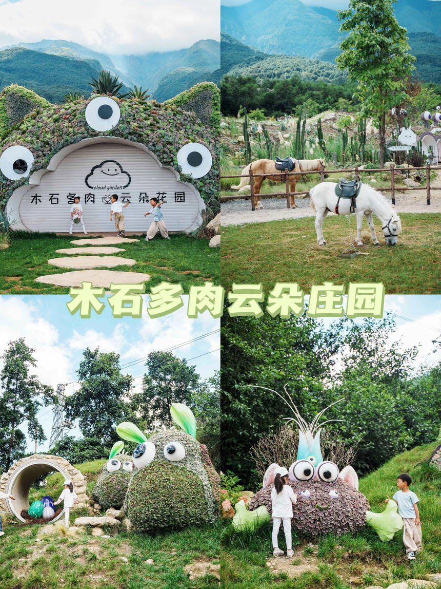 大理新打卡地|木石多肉云朵花园