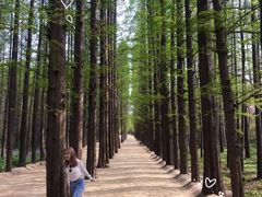 -日照灯塔风景区