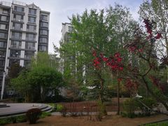 -香妃烤鸡(新奥店)