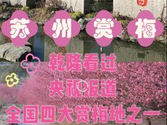 -香雪海