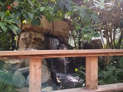 -南山植物园