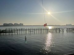 -金鸡湖桃花岛