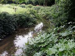 -白马涧龙池景区