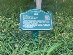 -西安浐灞国家湿地公园