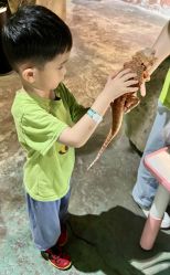 -酷嗒动物文化乐园(cutezoo西溪乐天城店)