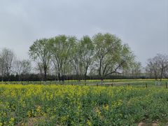 -汉长安城未央宫国家考古遗址公园