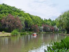 -新江湾城公园