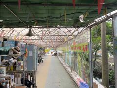 -新塘水果乐园(东洲大道店)