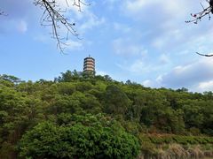 -深圳国际园林花卉博览园