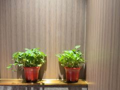 -南门四季铜锅涮肉(大屯·北苑店)