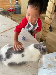 -萌宠亲子动物乐园(槐房万达店)