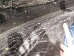 -张之洞与武汉博物馆