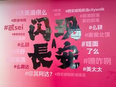 -樊记腊汁肉(西安咸阳国际机场店)