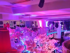 -巴特餐饮6加1音乐餐吧·新疆菜